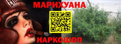 индика Братск